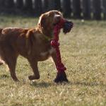 River showing off her new toy