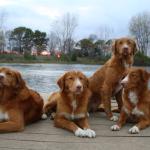 (L-R) Murphy, Rizzo. Pilot, River 